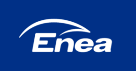Logo Enei RGB - w kontrze